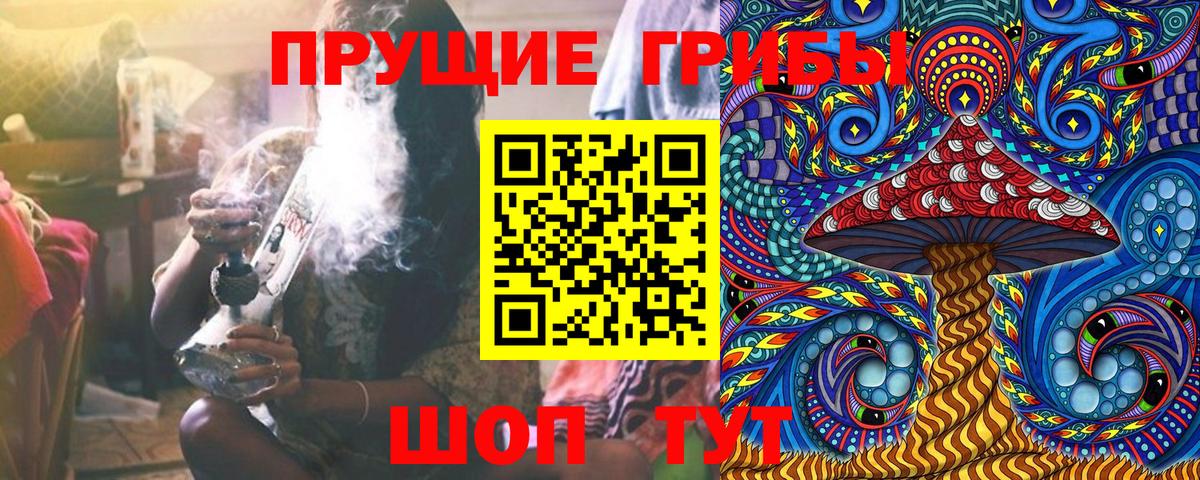 Псилоцибиновые грибы мицелий Псков
