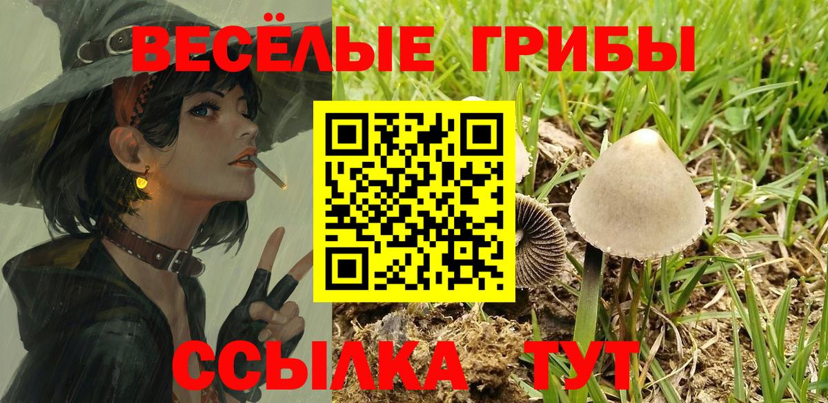 Псков  Псилоцибиновые грибы Magic Shrooms  Вход с VPN  купить  цена  Псилоцибиновые грибы мицелий 